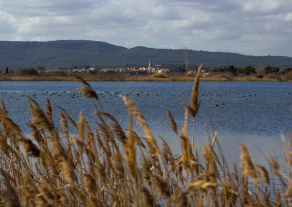 ville mireval 600x425 1